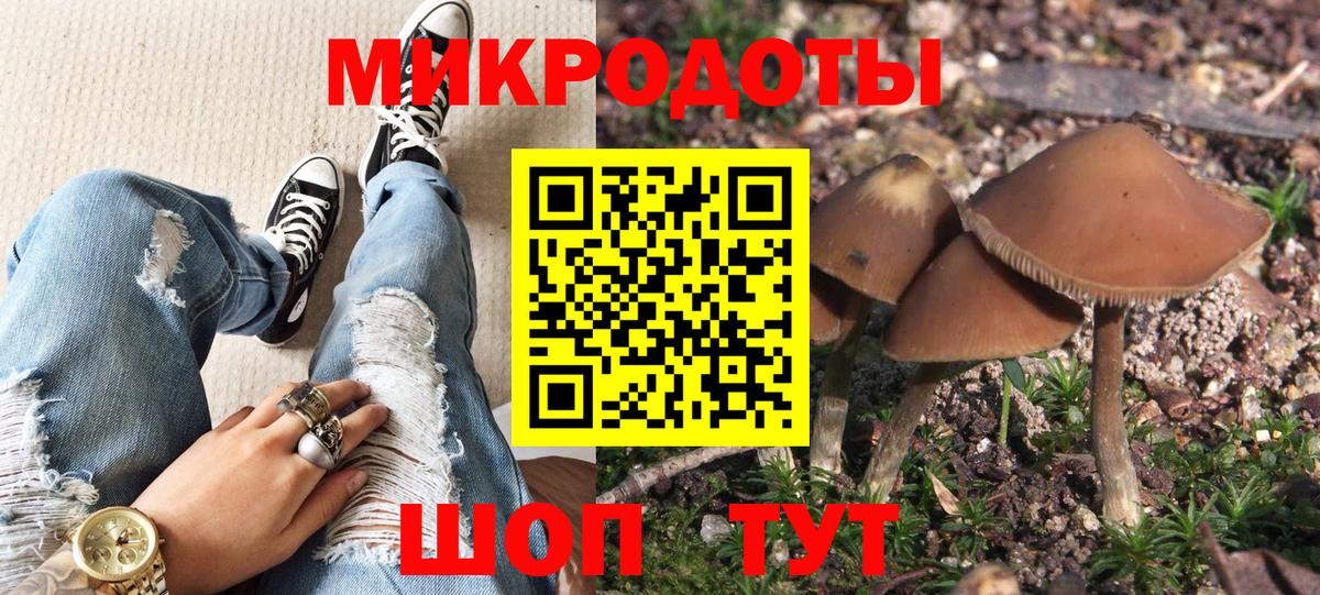 Свободный  Галлюциногенные грибы Cubensis  Вход с VPN 