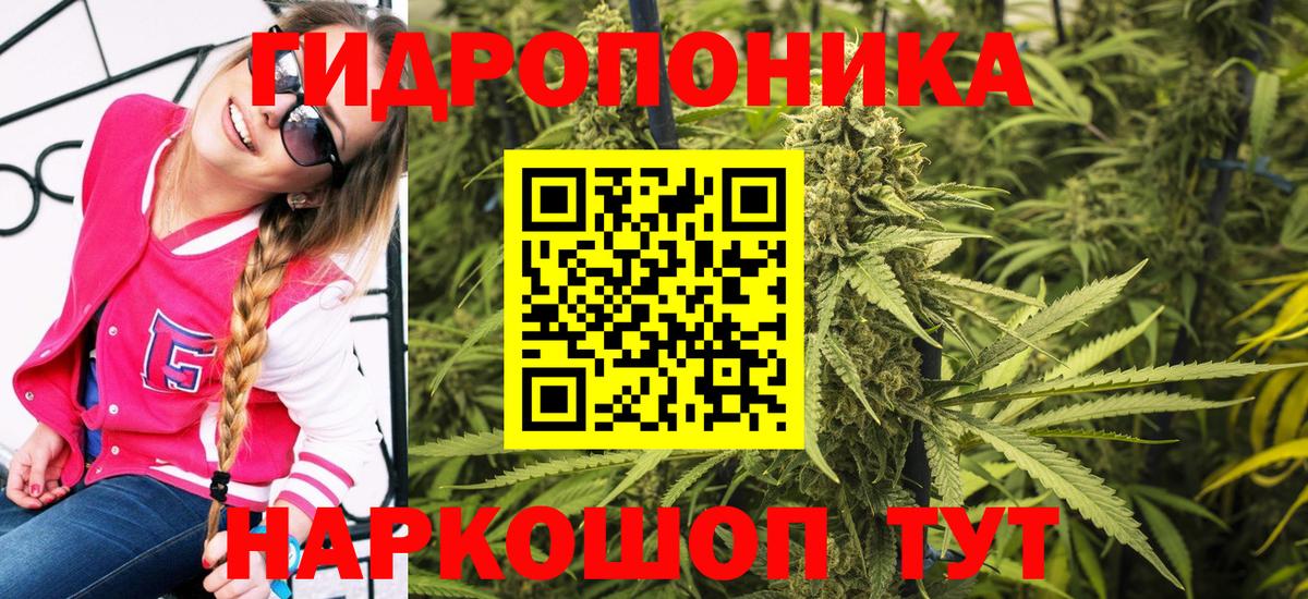 МАРИХУАНА конопля Свободный